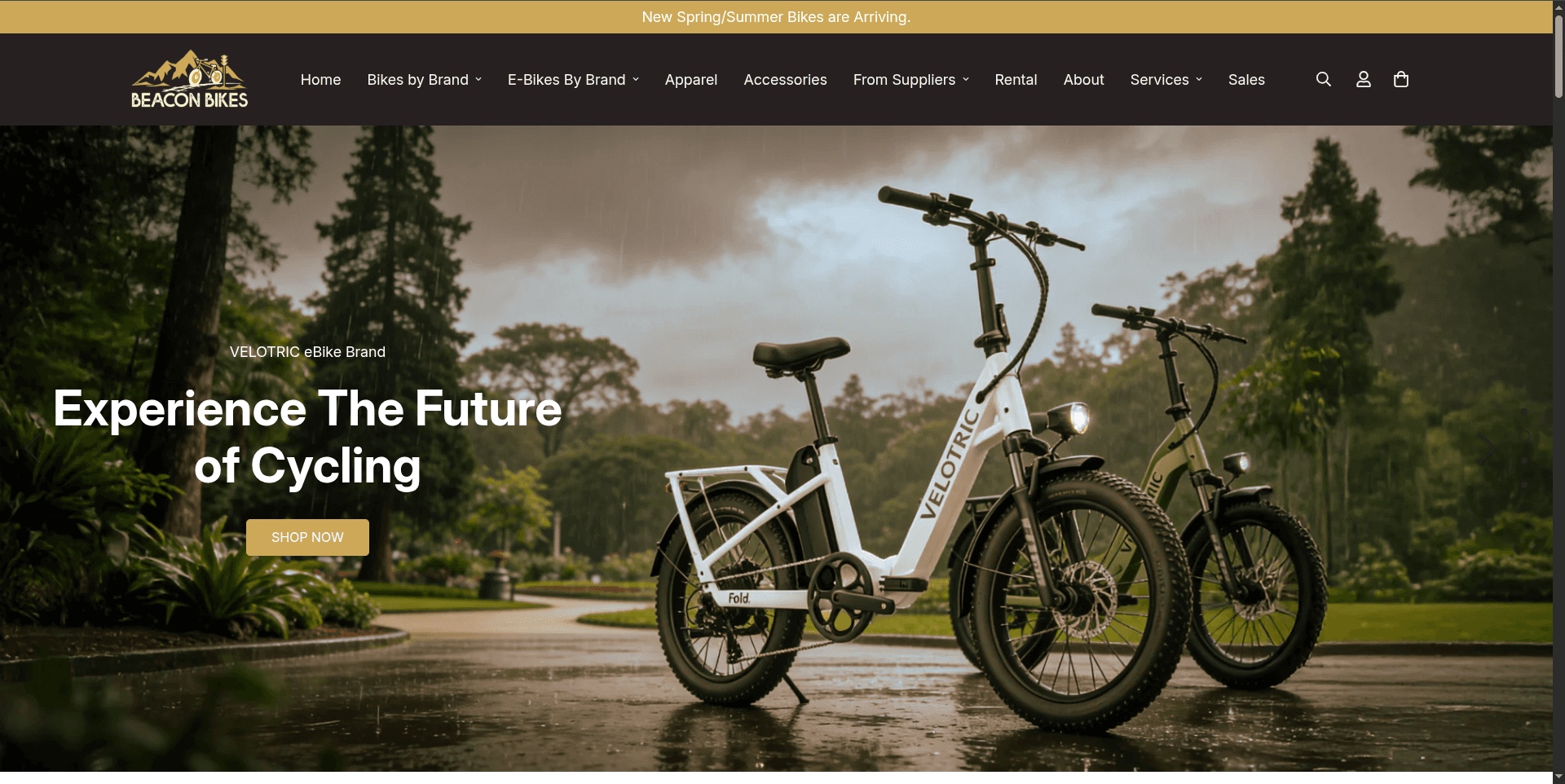 Beacon E-Bikes